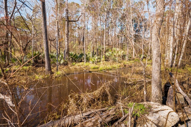 4294 River Rd, Johns Island, SC 29455