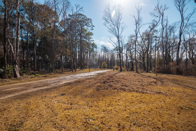 4294 River Rd, Johns Island, SC 29455