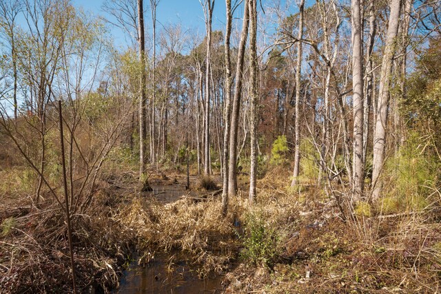 4294 River Rd, Johns Island, SC 29455