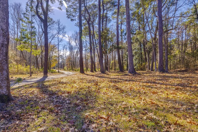 4294 River Rd, Johns Island, SC 29455