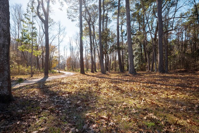 4294 River Rd, Johns Island, SC 29455