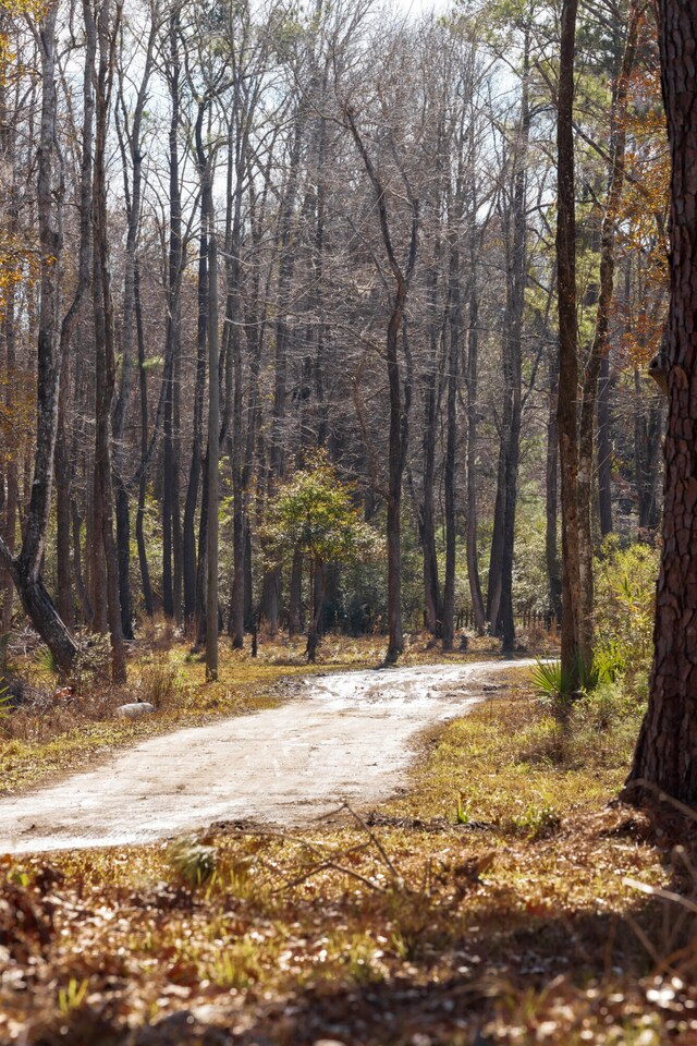 4294 River Rd, Johns Island, SC 29455