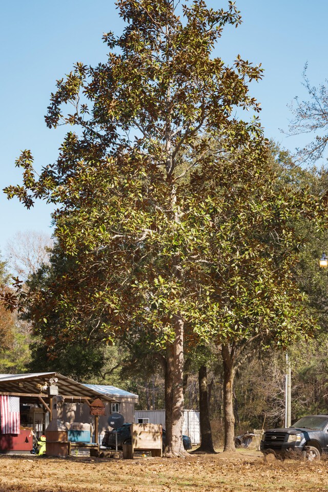 4294 River Rd, Johns Island, SC 29455