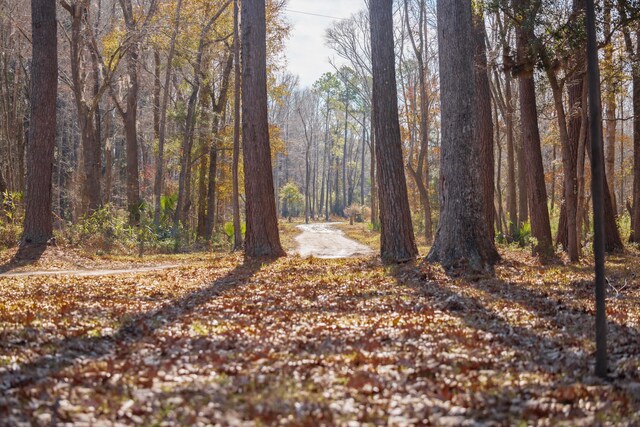 4294 River Rd, Johns Island, SC 29455