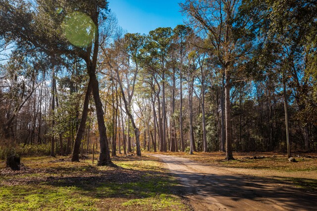 4294 River Rd, Johns Island, SC 29455