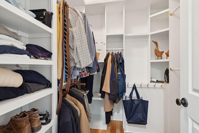 walk in closet featuring hardwood / wood-style flooring