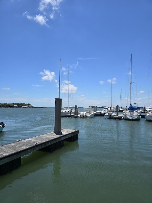 dock area with a water view