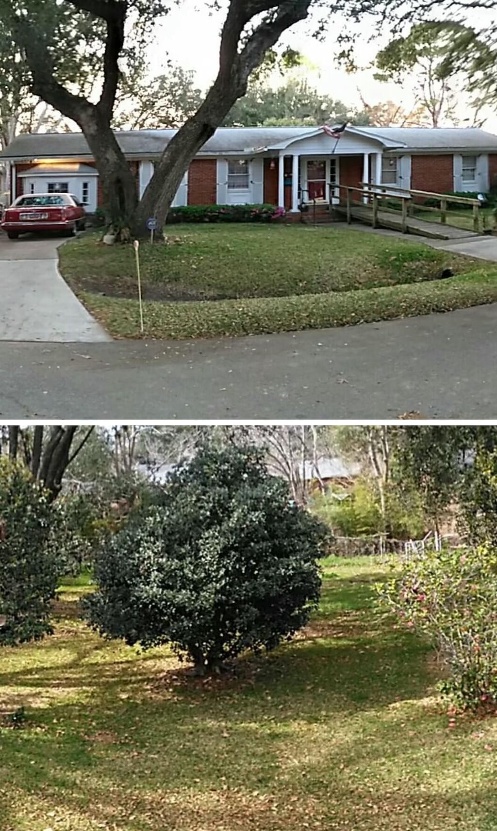 view of yard with concrete driveway