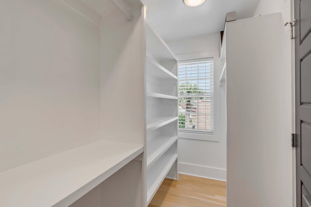 walk in closet featuring light wood-style floors