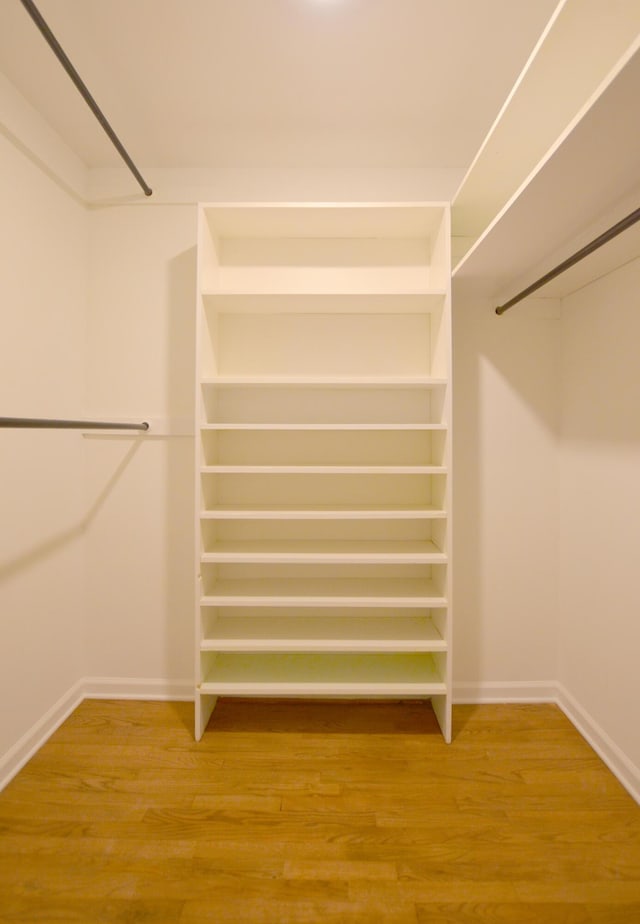 spacious closet with hardwood / wood-style floors