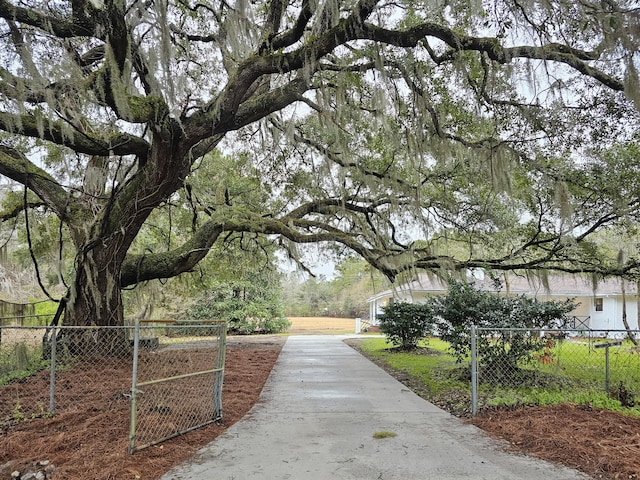 view of home's community