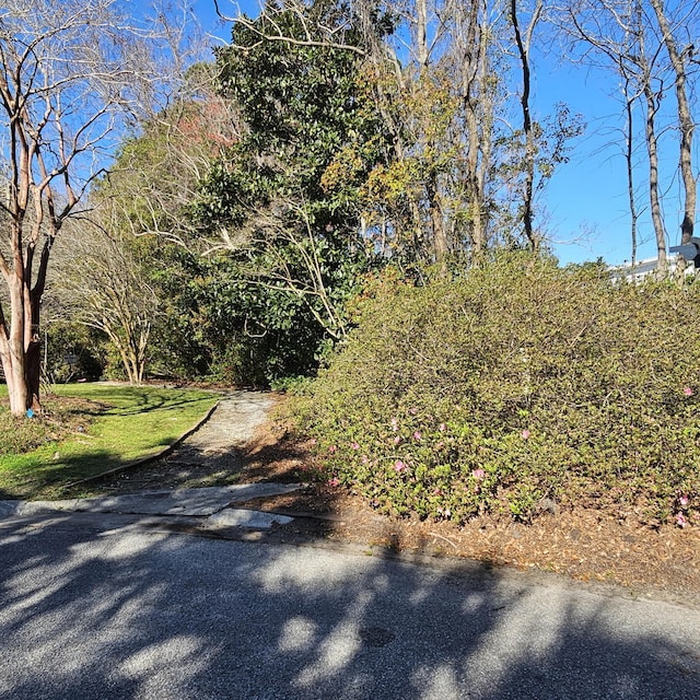 view of road