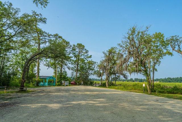 view of community featuring driveway