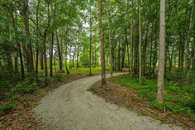 view of road featuring a forest view