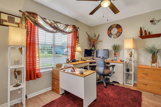 office space with light hardwood / wood-style floors and ceiling fan