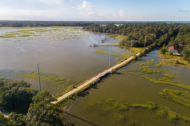 bird's eye view with a water view and a view of trees