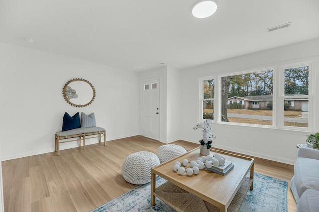 living room featuring light wood-type flooring