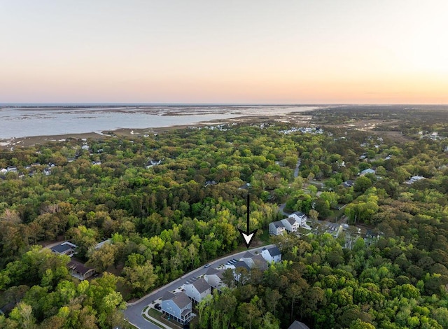 birds eye view of property featuring a view of trees and a water view