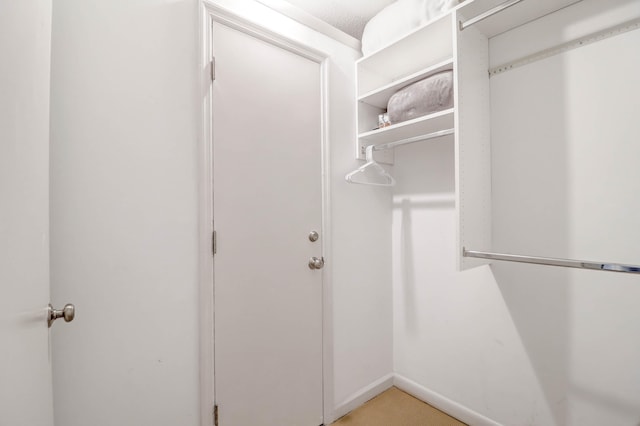 spacious closet with light colored carpet