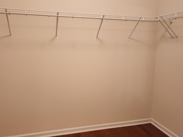 spacious closet featuring dark wood-style floors