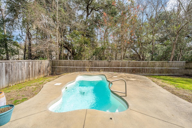 view of pool with a fenced in pool, a fenced backyard, and a patio