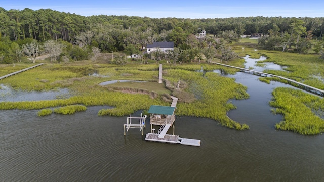 bird's eye view featuring a water view and a view of trees