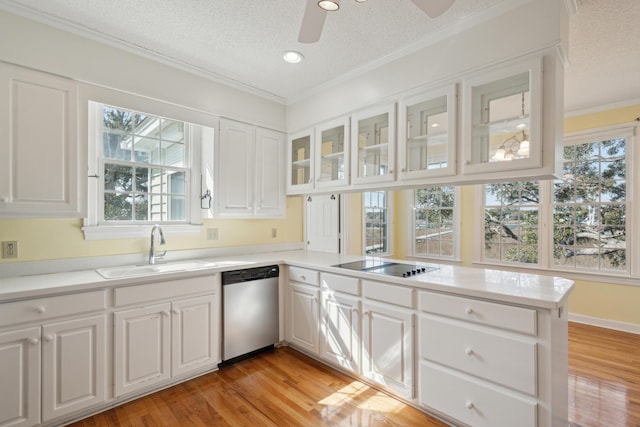 kitchen with black electric stovetop, light wood-style flooring, stainless steel dishwasher, white cabinets, and a sink