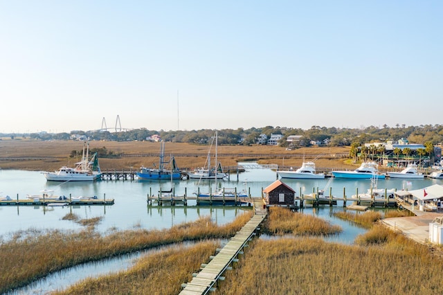 dock area with a water view