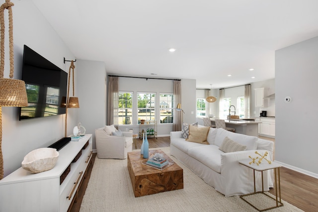 living room with light hardwood / wood-style floors