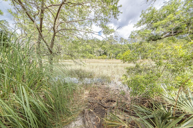 view of local wilderness