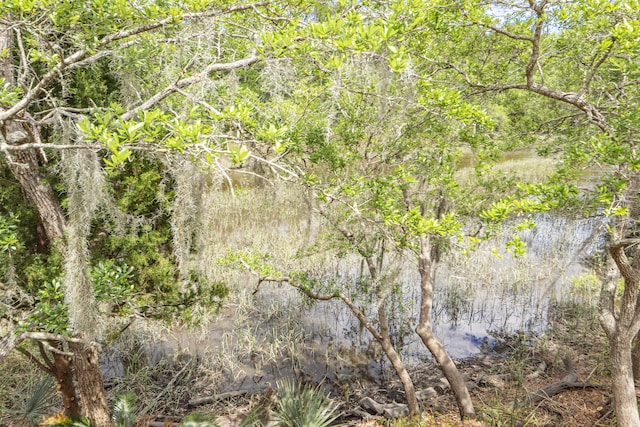 view of local wilderness featuring a water view