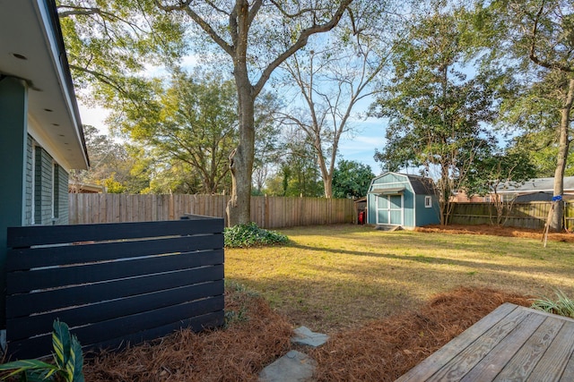 view of yard featuring a storage shed