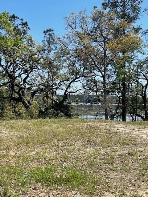 view of local wilderness with a water view