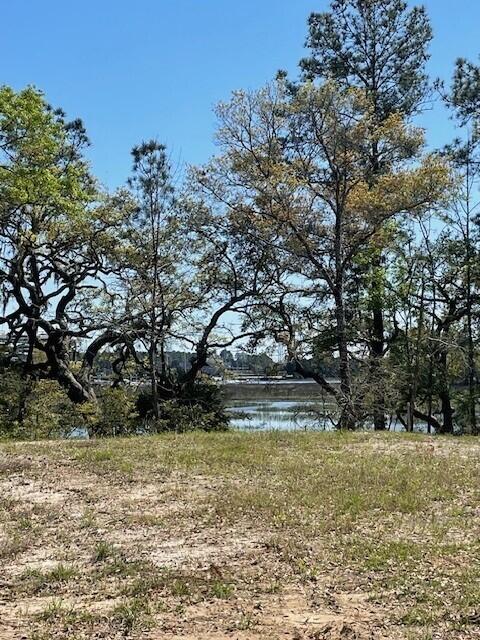 view of nature with a water view