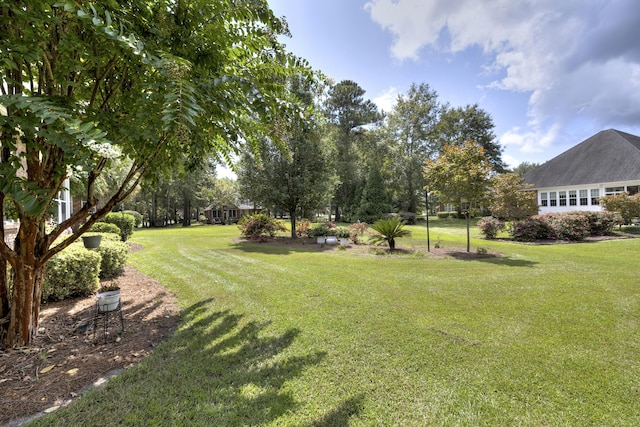 view of yard