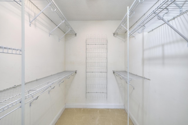 spacious closet with light carpet
