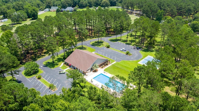 bird's eye view