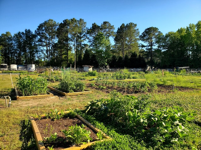 view of yard with a vegetable garden and fence