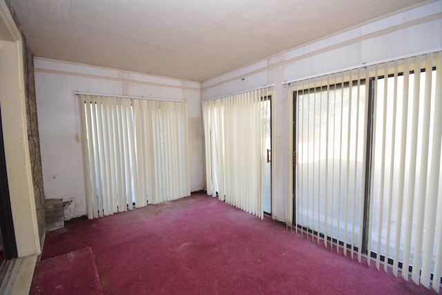 unfurnished room with carpet