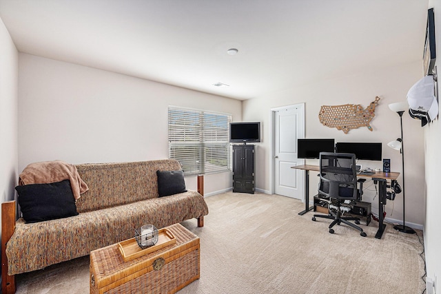 1723 Indaba Way, Charleston, SC 29414 - office area with carpet and baseboards