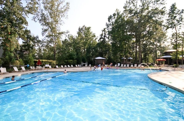 1723 Indaba Way, Charleston, SC 29414 - community pool with view of wooded area and a patio area