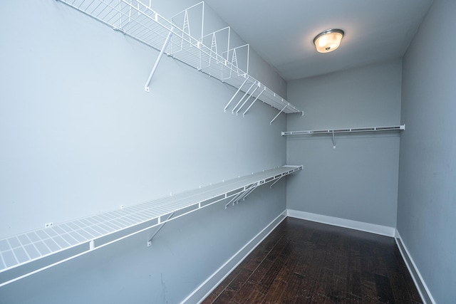 415 Watergrass Way, Summerville, SC 29485 - walk in closet featuring dark wood-type flooring