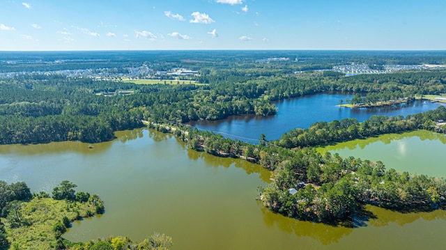 415 Watergrass Way, Summerville, SC 29485 - aerial view with a water view and a view of trees