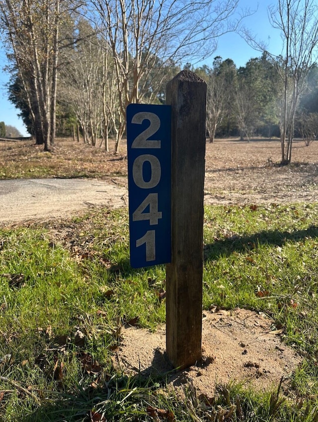 2041 Edisto River Rd, Branchville SC, 29432 land for sale