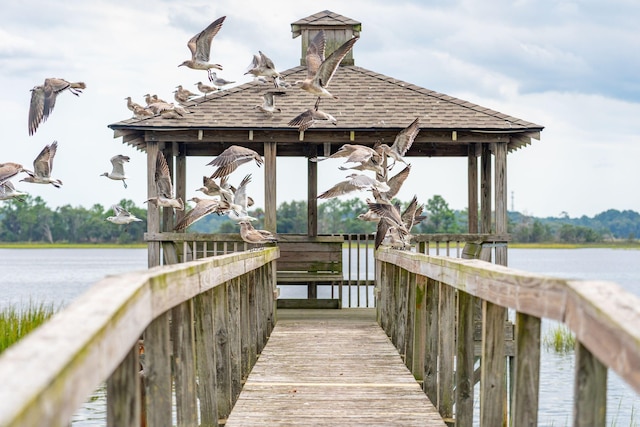 dock area with a water view