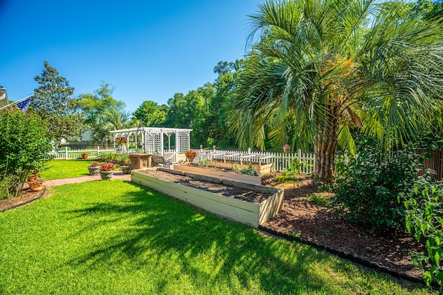105 Northpark Ave, Summerville, SC 29485 - view of yard featuring a vegetable garden