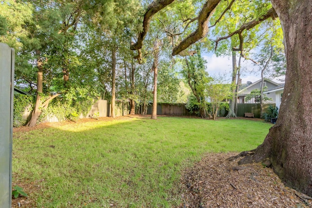 view of yard with a fenced backyard