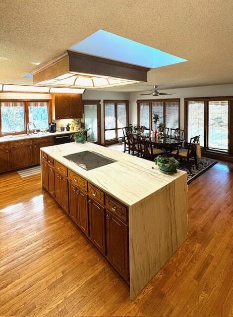 kitchen with black electric stovetop, a textured ceiling, light hardwood / wood-style flooring, and a wealth of natural light