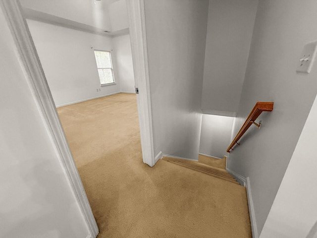 5404 Red Fork Ln, North Charleston, SC 29420 - staircase featuring carpet floors and baseboards