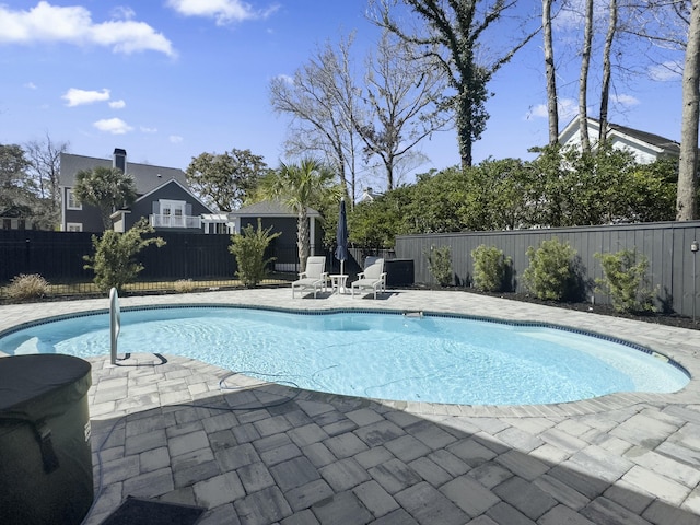 view of pool featuring a fenced in pool, a fenced backyard, and a patio area